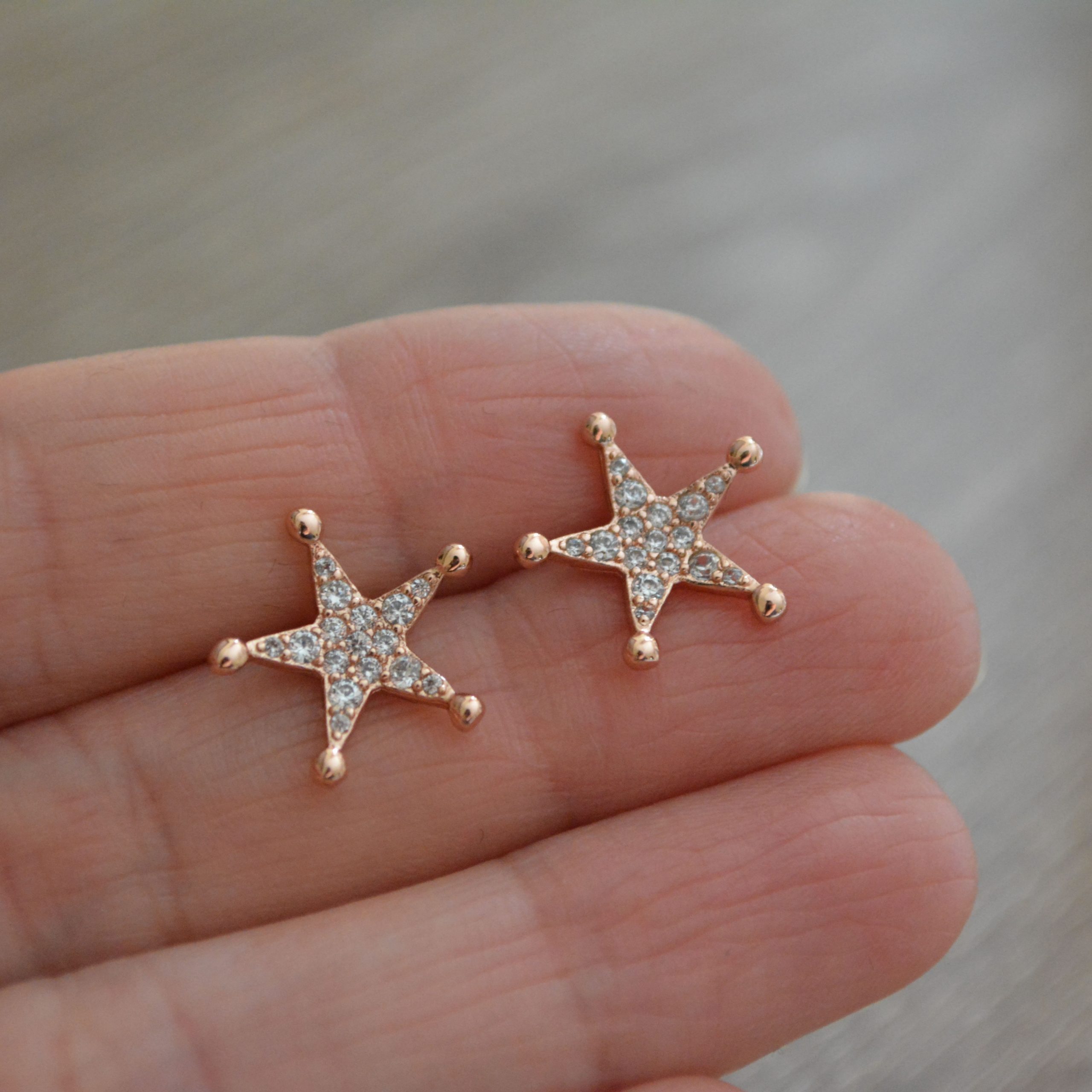 Zircon Taşlı Yıldız Küpe 1 Zircon Taşlı Yıldız Küpe