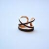 ss 6 1 rings scaled