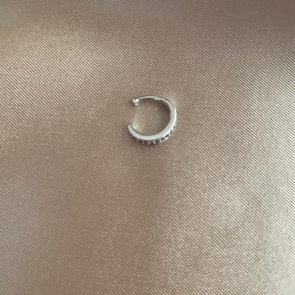 Cessnock Silver Kıkırdak Küpe 2 Cessnock Silver Kıkırdak Küpe - Görsel 2