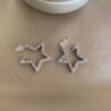 Wagga Silver Earrings Steel 1