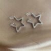 Wagga Silver Earrings Steel 2