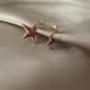 Star Gold Stoned Earrings 2