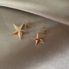Star Gold Stoned Earrings 3