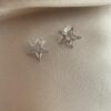 Hulm Silver Star Earrings 3