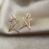 Star Gold Küpe 3 31C87AE0 33A0 455F 8D8A 4C206910264A scaled